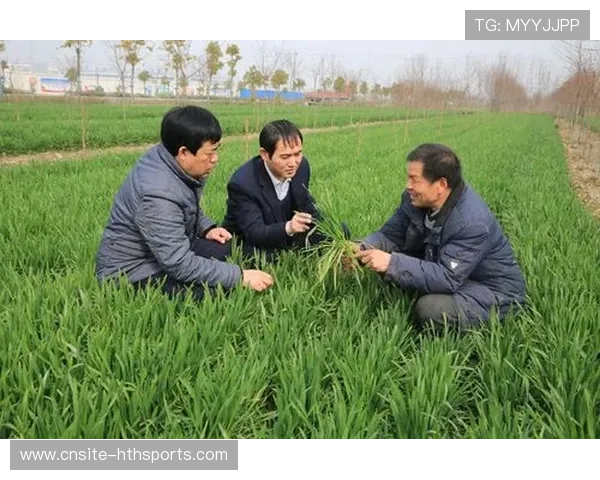 网球青训资金投放效果评估：哪些投入最有效？